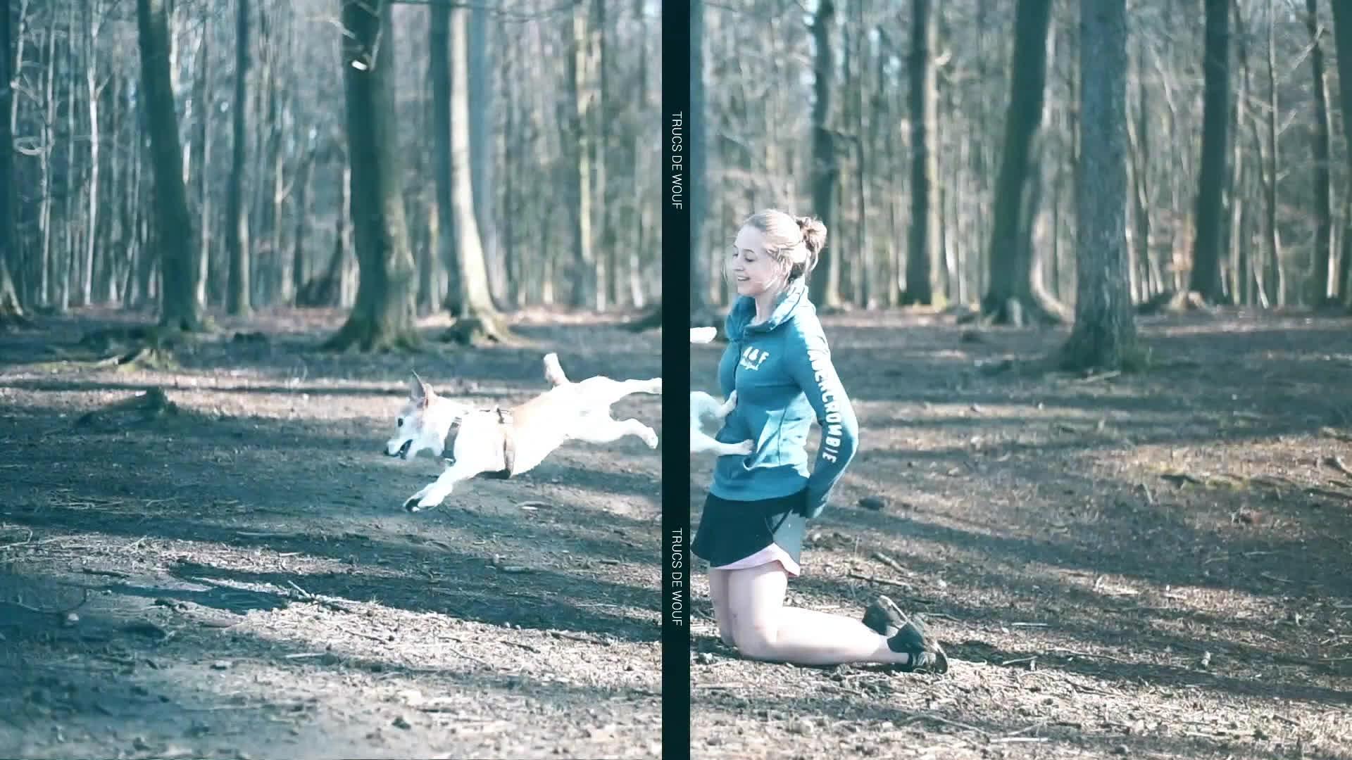 Le chevauchement