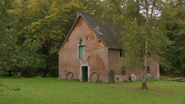 Moulin du Stwerdu: année exceptionnelle pour les noix