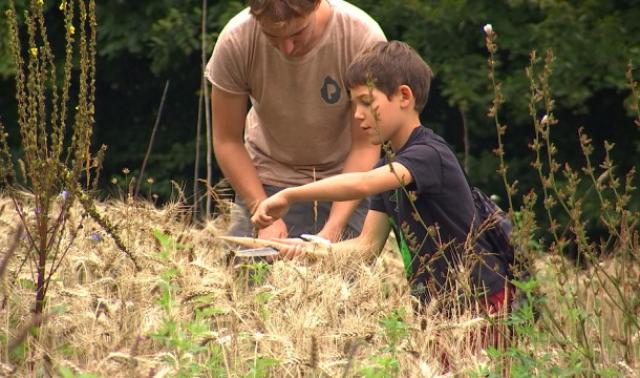Préhistomuseum : immersion chez les premiers agriculteurs