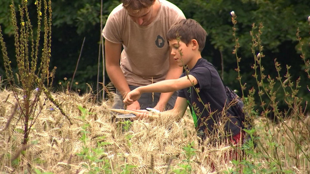 Préhistomuseum : immersion chez les premiers agriculteurs