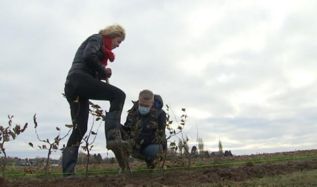 Près de 10 kilomètres de charmes à Crisnée