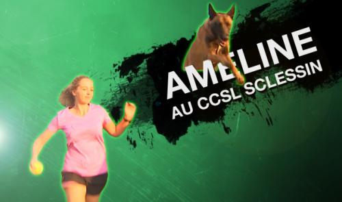 RTC fait son sport #7 - Agility