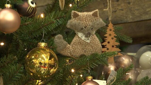 Les sapins de Noël sont déjà là !