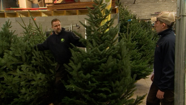Sapins de Noël éco-responsables à Tilff