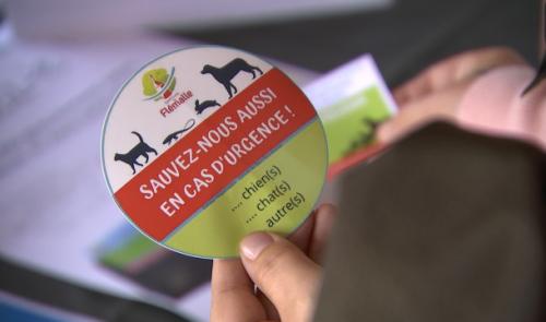 Un autocollant qui peut sauver des animaux domestiques