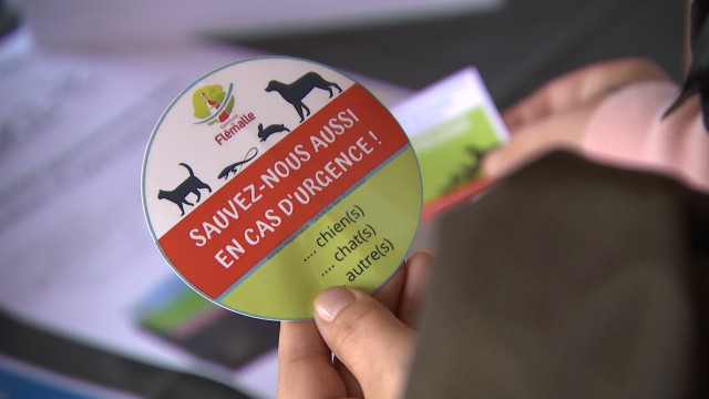 Un autocollant qui peut sauver des animaux domestiques