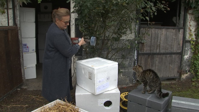 Une ferme à chats à Hermalle-sous-Huy pour Poils et Moustaches