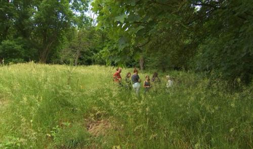 Une forêt-jardin à Liège