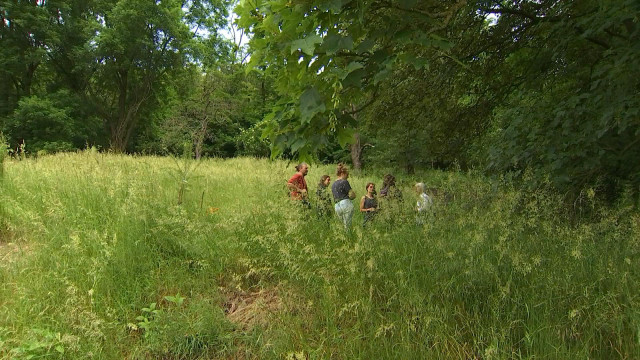 Une forêt-jardin à Liège