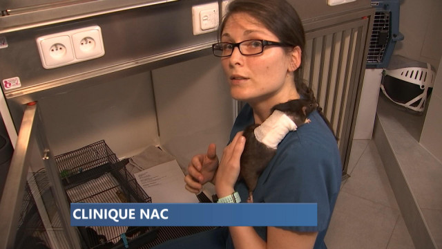 Une nouvelle clinique pour les N.A.C. à Liège !
