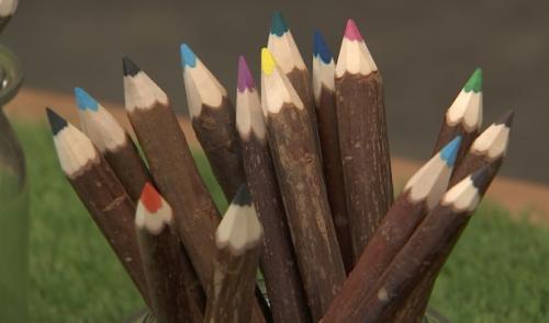Unique à Braives: des crayons artisanaux en bois de saule
