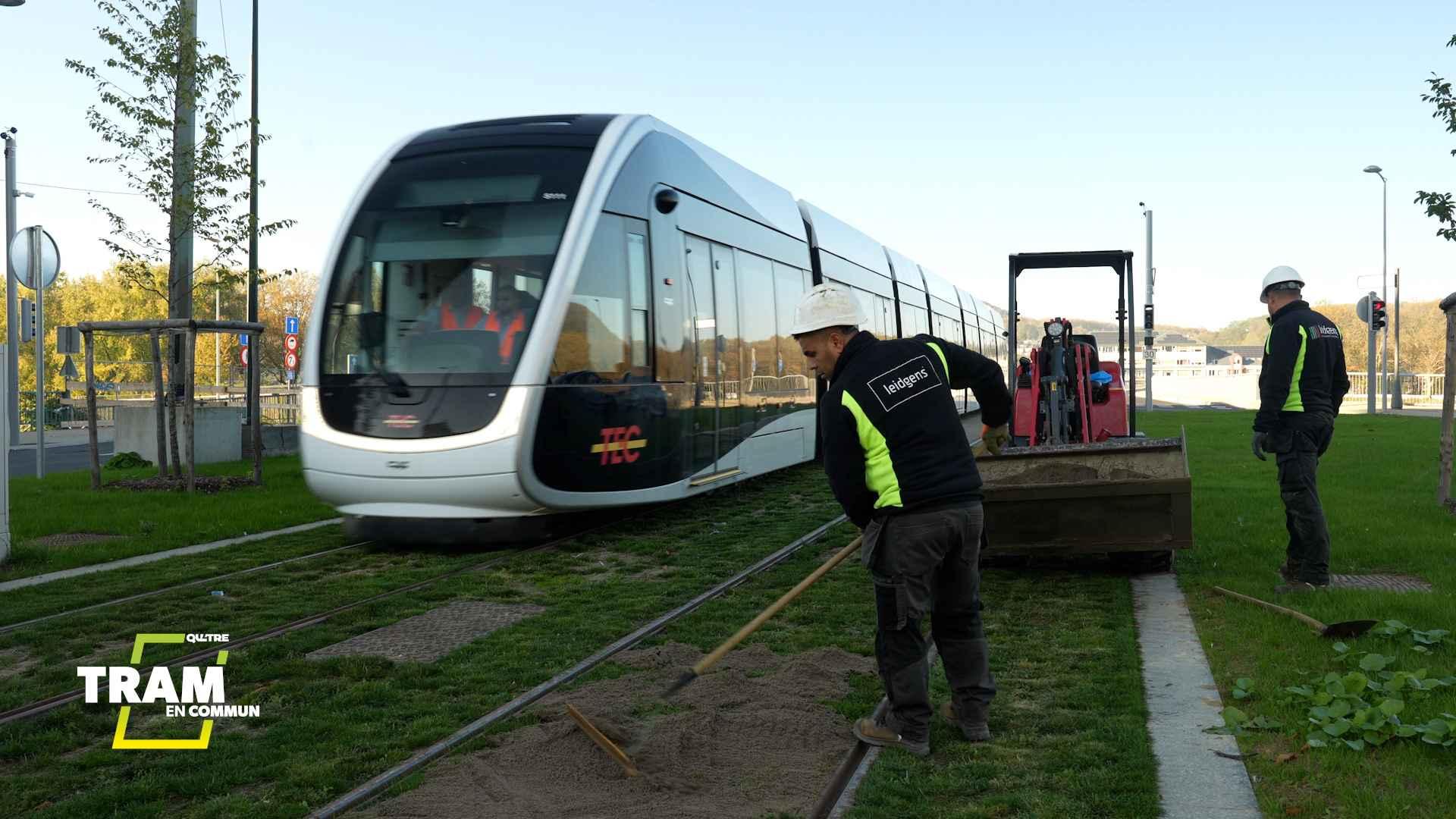 Tram en commun S7#8 : une journée sur la ligne du tram