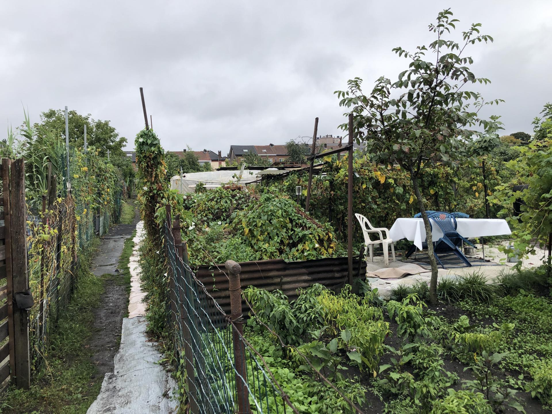 Journée du Patrimoine : le plus grand potager communautaire de Wallonie