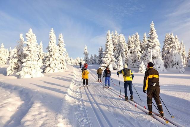 Neige : ski alpin, ski de fond, luge... les pistes sont ouvertes !