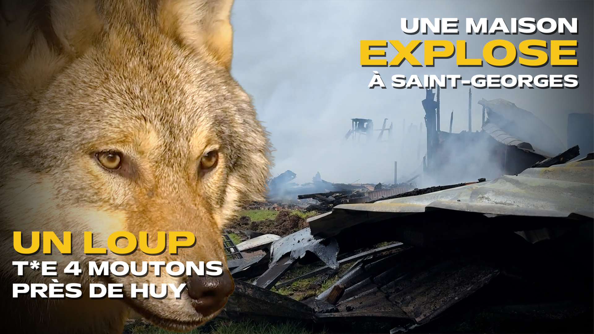 Les actus de la semaine en province de Liège
