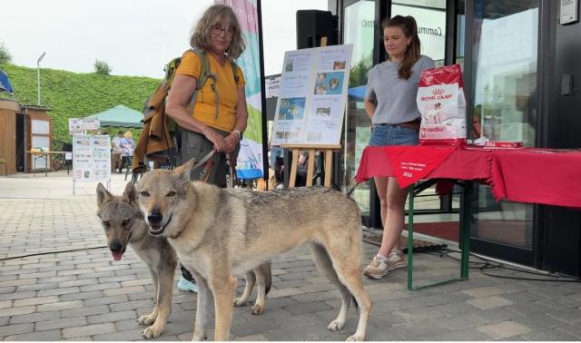 Grand succès pour la 2e édition du Dog Day de Crisnée