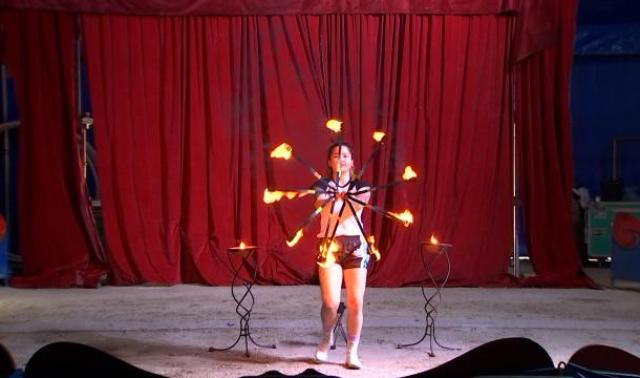 "Dancing with horses", la rencontre du cirque et du sport équestre