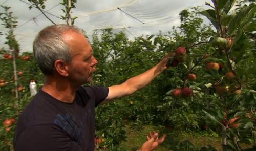  Le temps est défavorable aux arbres fruitiers 
