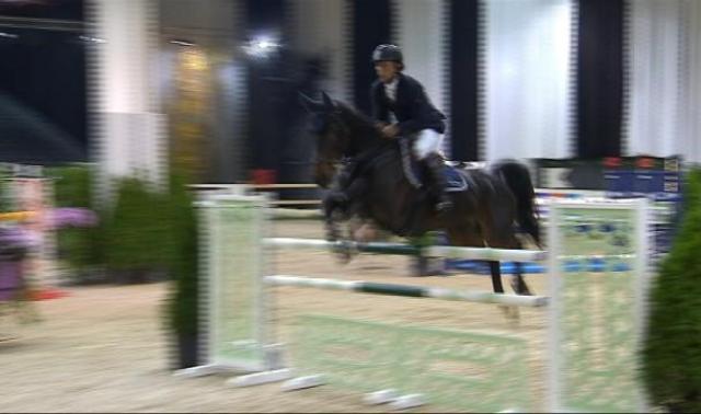 Bientôt le jumping international de Liège 