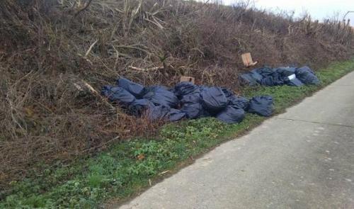 Bassenge : 40 sacs de restes de plants de cannabis ! 