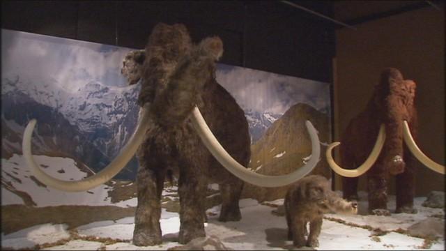 25 000 visiteurs pour le Monde des Géants de l'âge de Glace