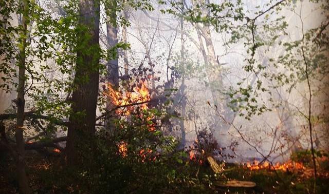 Photos et vidéos spectaculaires de l'incendie au Sart Tilman