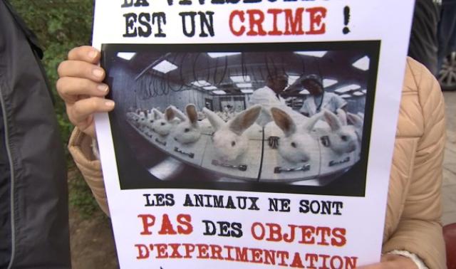 Ils manifestent contre l'expérimentation animale