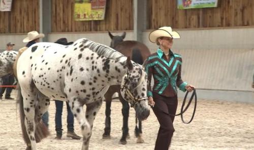L'équitation western en vedette ce week-end à Awans
