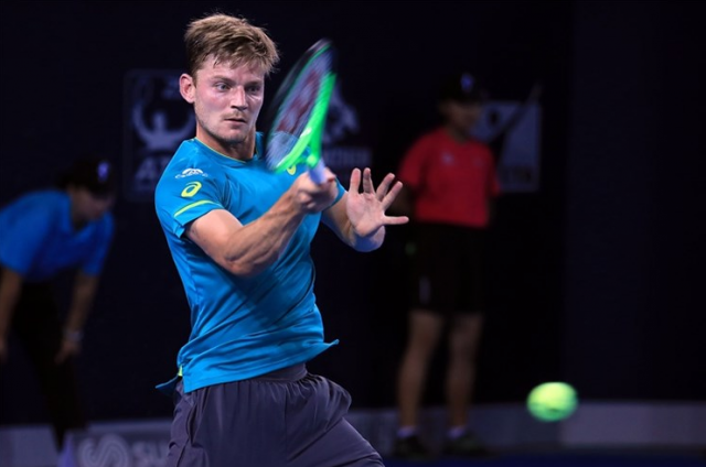 David Goffin Mérite Sportif 2017 