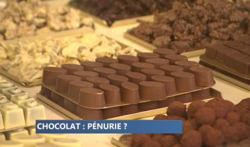 Chocolat et changements climatiques. Nos chocolatiers sereins