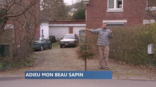 Collecte de sapins : aussi pour les grands feux...