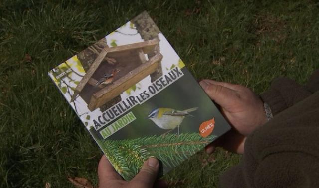 Comment accueillir les oiseaux au jardin? 