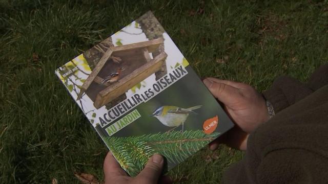 Comment accueillir les oiseaux au jardin? 