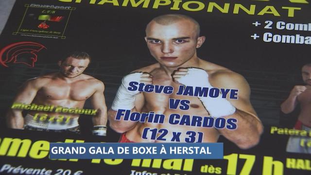 Herstal: un titre européen en jeu lors du gala de boxe