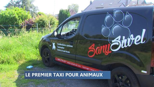Le premier taxi pour animaux en province de Liège