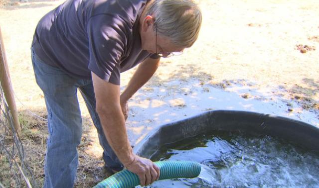 Tournées eau et foin pour les Amis des Chevaux du Marais