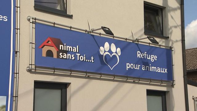 Nouveau bâtiment pour Animal sans Toi...t