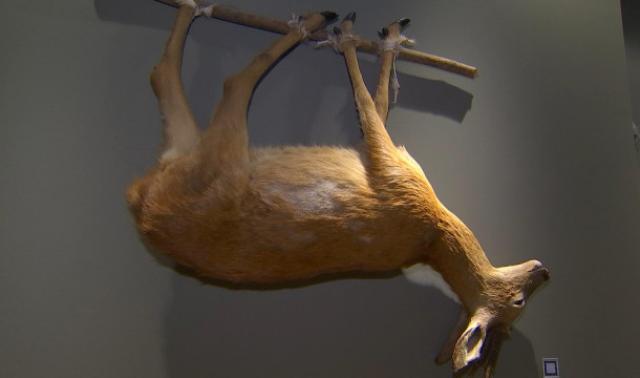 Le Préhistomuseum et l'archéologie de la gastronomie