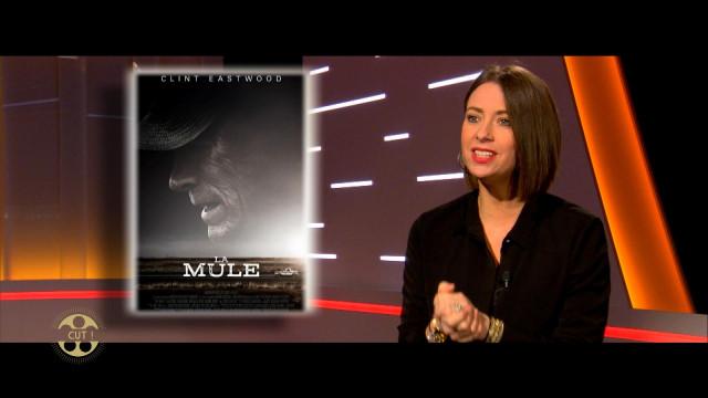 Les sorties ciné de cette semaine ! C'est dans CUT sur RTC !