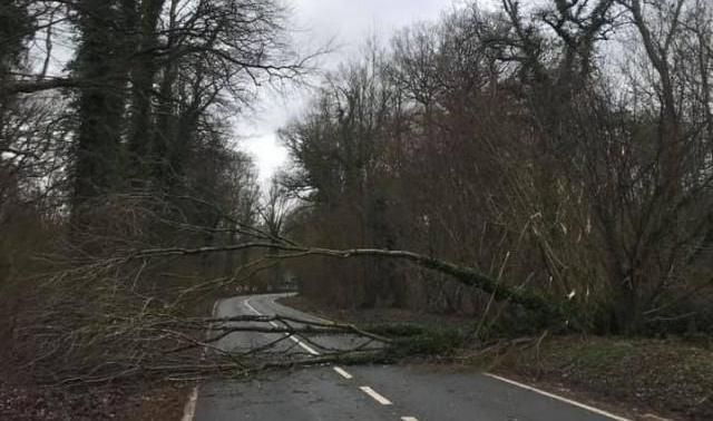Tempête : votre assurance vous couvre-t-elle ?
