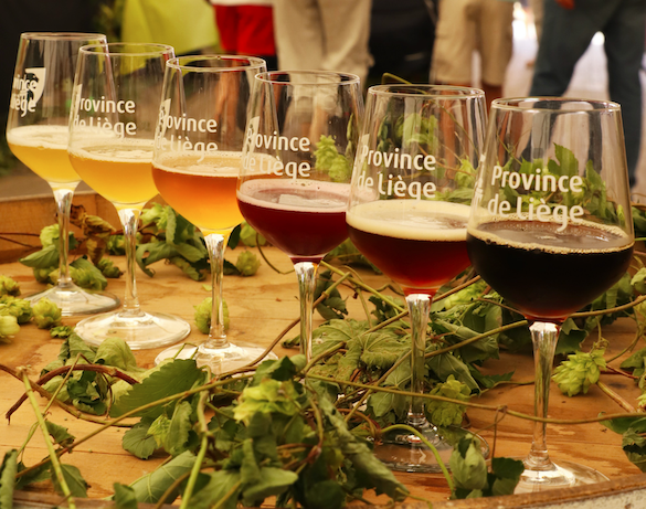 Les meilleurs vins et bières de la province