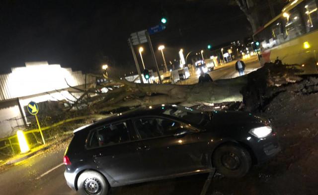 Le Boulevard de l'Ourthe à l'arrêt à cause d'un arbre