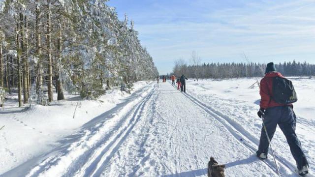 Envie de skier ce vendredi ?