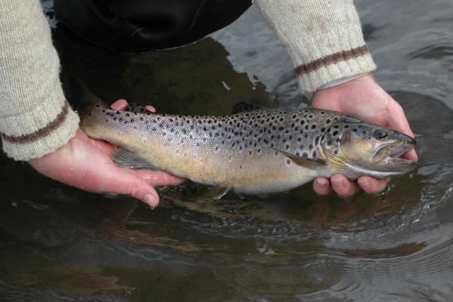 Pas d'ouverture de la pêche ce 21 mars 