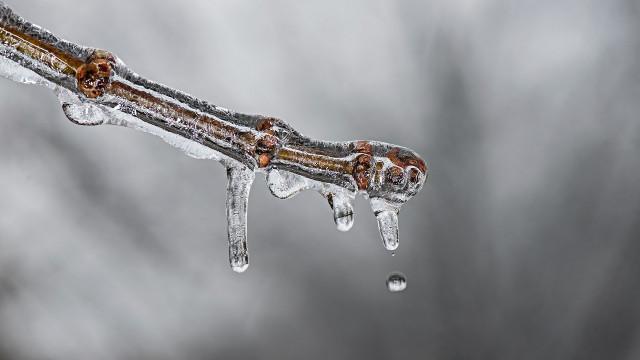 "Le Covid-19 pourrait se révéler néfaste pour le climat"