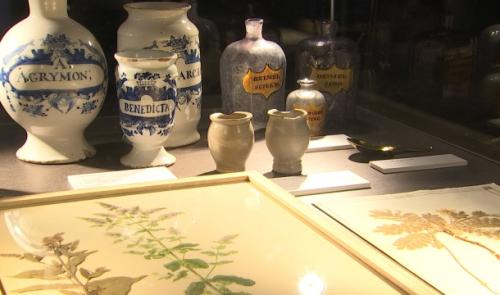 Les secrets de botanique liégeois à l'archéoforum