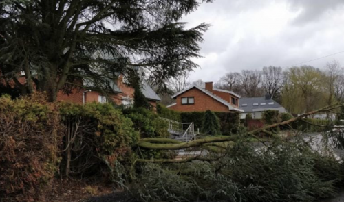 Chute d'arbre à Ivoz-Ramet: une voiture ainsi que des câbles électriques endommagés