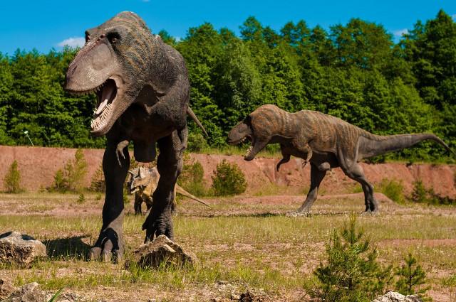 Des dinosaures à Remouchamps !