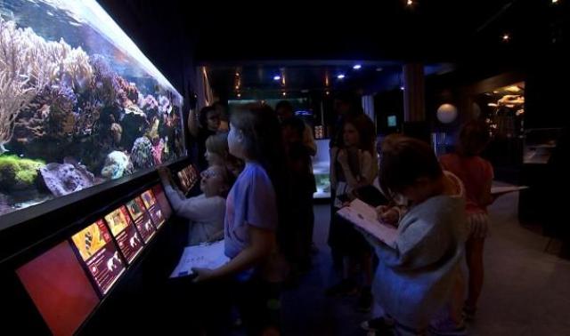 Un stage à la découverte des créatures EXTRAordinaires