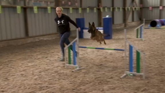 Trucs de Wouf: l'agility